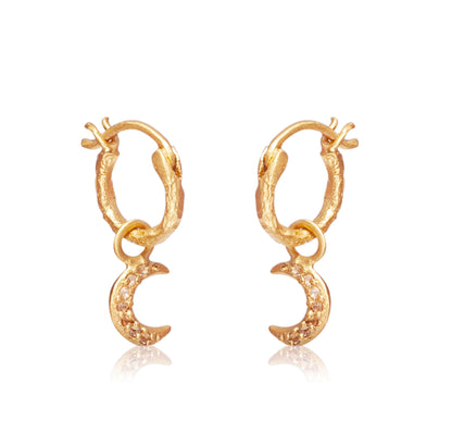 Ancient Wisdom Earrings