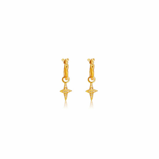 True North Hoop Earrings