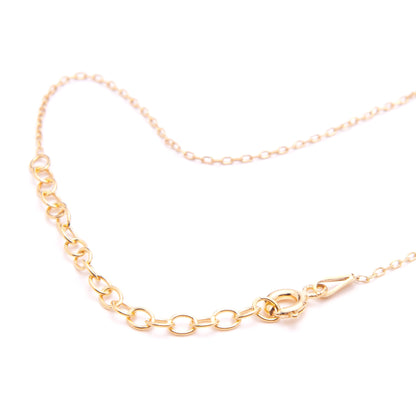 Necklace Sardine in Gold Plated Silver